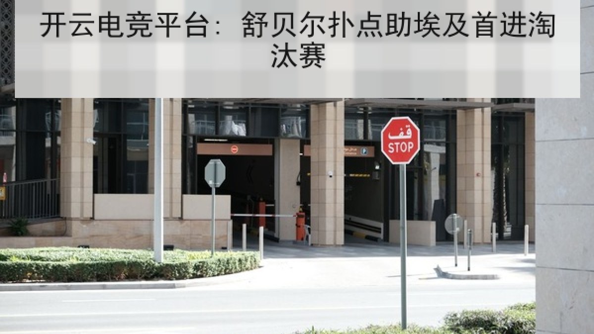 开云电竞平台: 舒贝尔扑点助埃及首进淘汰赛