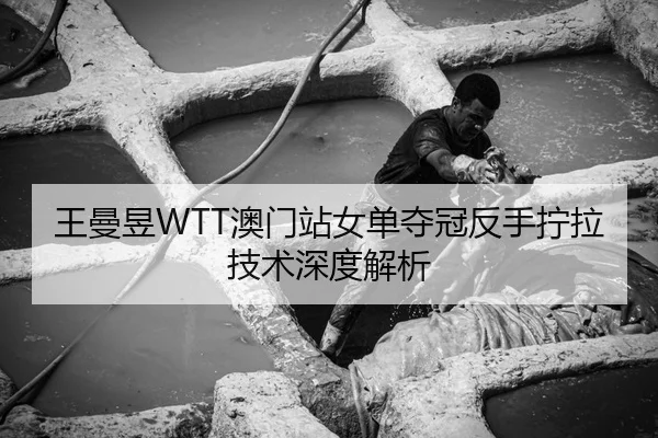 王曼昱WTT澳门站女单夺冠反手拧拉技术深度解析