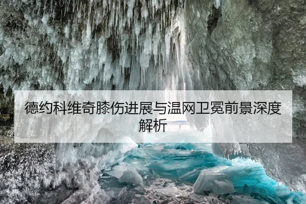 德约科维奇膝伤进展与温网卫冕前景深度解析