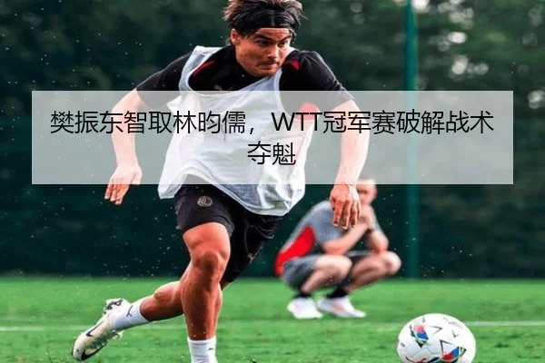 樊振东智取林昀儒，WTT冠军赛破解战术夺魁