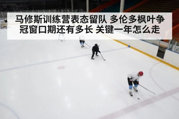 马修斯训练营表态留队 多伦多枫叶争冠窗口期还有多长 关键一年怎么走